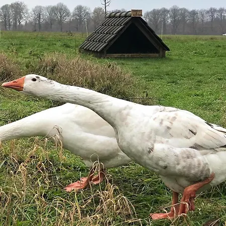 2 Bedroom Awesome In Loon Op *