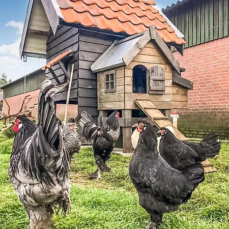 2 Bedroom Awesome In Loon Op Ferienhaus