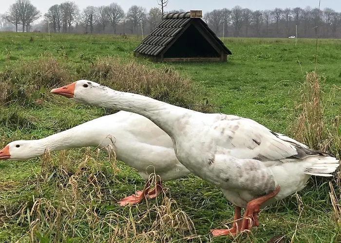 2 Bedroom Awesome In Loon Op *