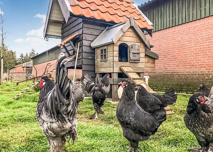 2 Bedroom Awesome In Loon Op Dom wakacyjny