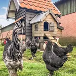 2 Bedroom Awesome In Loon Op Дом отдыха